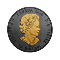 Kanadský kůň stříbrná mince 1 oz