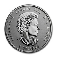 Narozeni v lednu - stříbrná mince proof se 4 originálními krystaly Swarovski