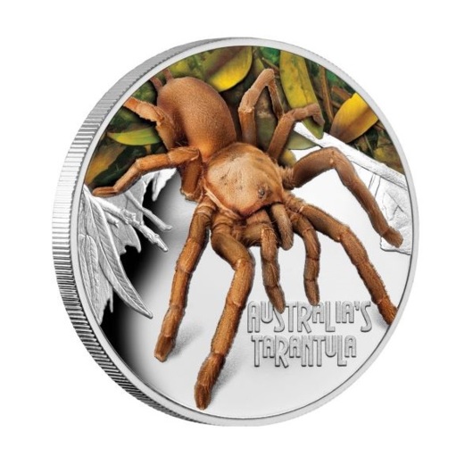 Australská tarantule stříbrná mince 1 oz proof