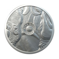 Nosorožec stříbrná mince 1 oz ve sběratelském blisteru