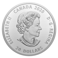 Matka Země: Náš domov stříbrná mince 1 oz Proof