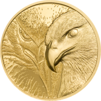 Zlatá mince majestátní zlatý orel