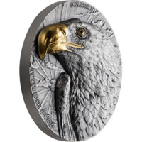 Americký orel set stříbrných mincí 2 x 5 oz