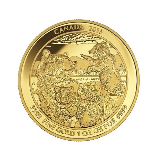 Medvěd Grizzly rodina zlatá mince 1 oz Proof