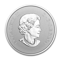 Vítej na světě v roce 2017! stříbrná pamětní mince