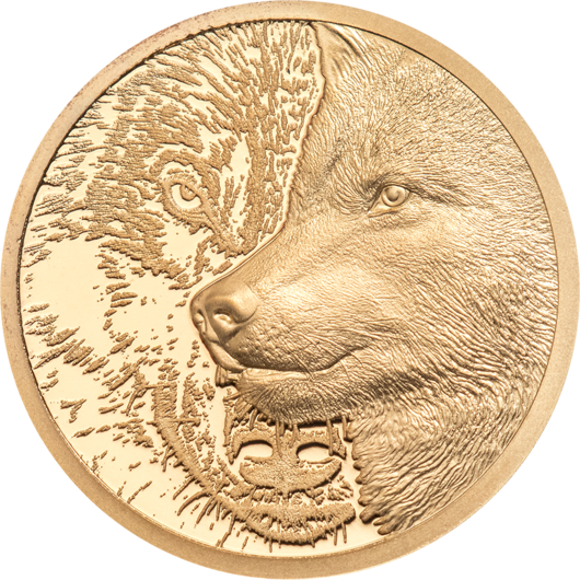 Divoký vlk zlatá mince 1/10 oz Proof