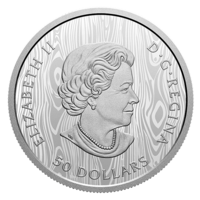 Puma americká, stříbrná mince Proof