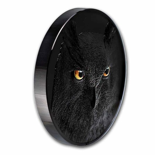 Noční lovci – Sova – stříbrná mince 1 kg, Obsidian Black