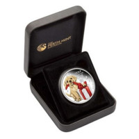 Golden Retriever Puppy stříbrná pamětní mince