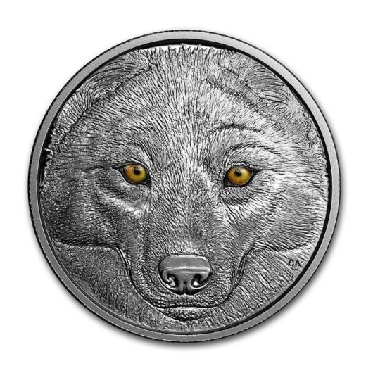Zářící oči vlka stříbrná mince proof