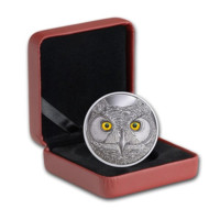 Zářící oči sovy stříbrná mince proof