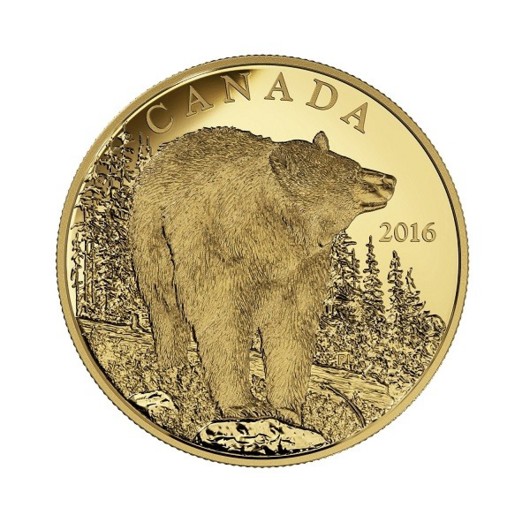 Medvěd Baribal 1 oz zlatá mince Proof
