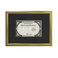 5 francouzských liber 1793 (assignats)