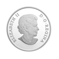 Geometrická fauna - Kosatky stříbrná mince 1 oz proof