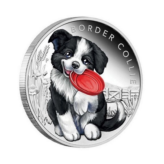 Border Collie Puppy stříbrná mince