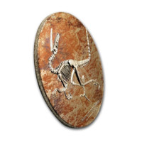 Velociraptor stříbrná mince 3 oz