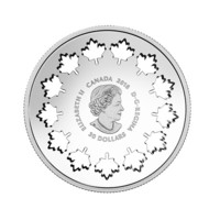 13 javorových listů stříbrná mince proof
