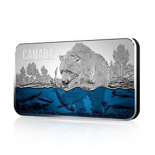 Medvěd lovící lososy stříbrná mince proof