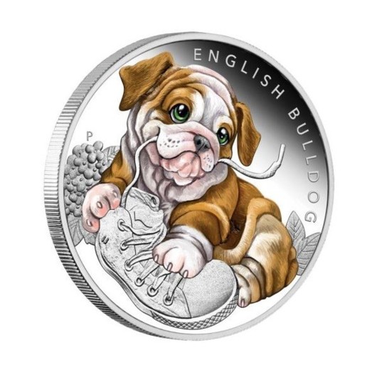 English Bulldog Puppy stříbrná mince proof