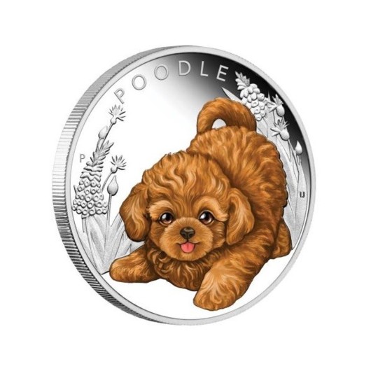 Poodle Puppy stříbrná mince proof