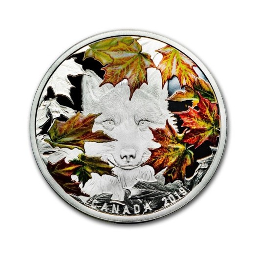Vlk v javorových listech stříbrná mince 2 oz proof