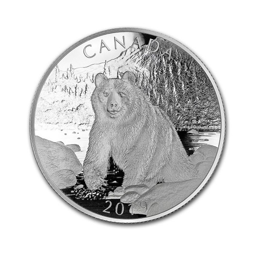 Medvěd hnědý v zimní divočině stříbrná mince 10 oz proof