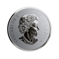 Vítej na světě v roce 2019! stříbrná pamětní mince