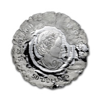 Polární medvědi stříbrná mince 5 oz proof