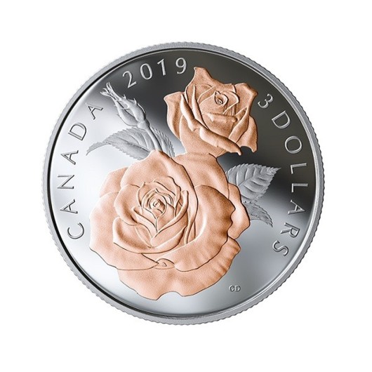 Růže královny Alžběty II. stříbrná mince proof