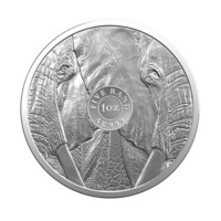 Big Five Elephant stříbrná mince 1 oz