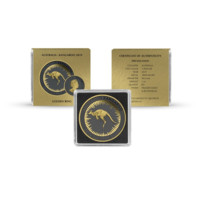 Australský klokan 2019 Golden Ring stříbrná mince 1 oz
