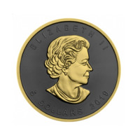 Javorový list 2019 Golden Ring stříbrná mince 1 oz